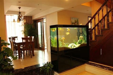 观赏鱼缸应该摆放在什么位置_对风水有何影响,第3张 观赏鱼缸应该摆放在什么位置_对风水有何影响,第3张